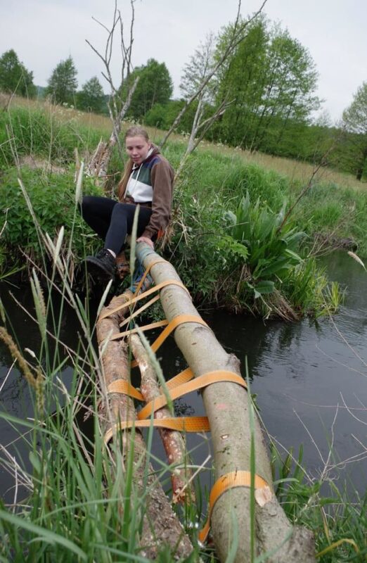 13335850 487850981408218 2657426818158834795 n