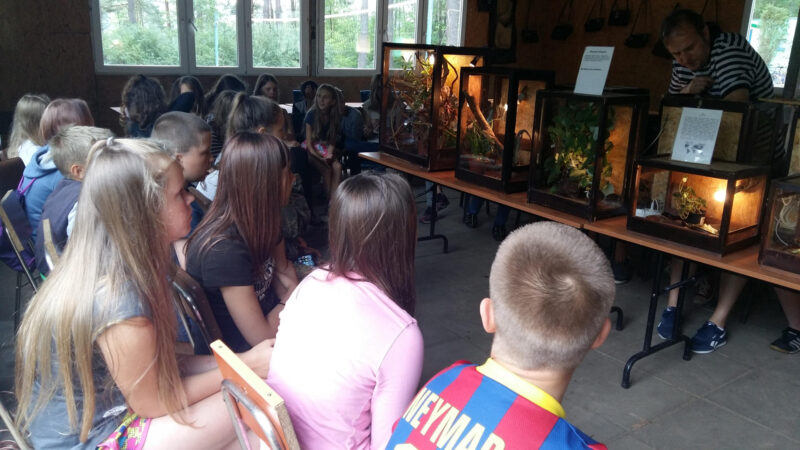 Zwierzeta egzotyczne