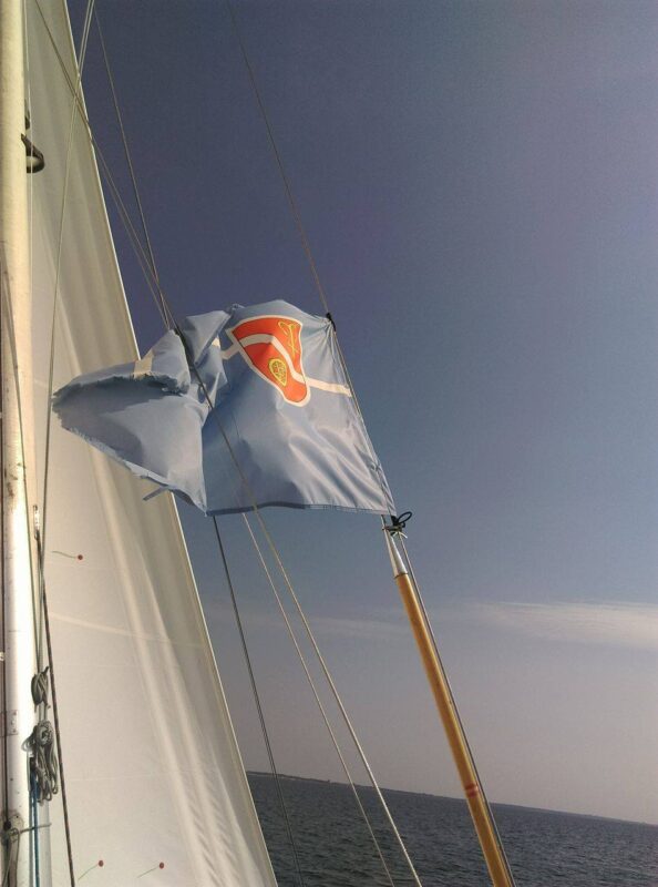 14203478 1170370999699776 576544235 o