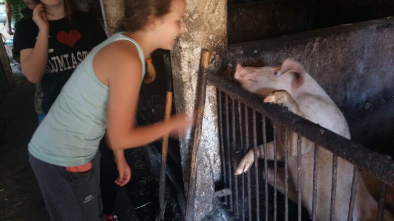 20160826 094137 scaled 1