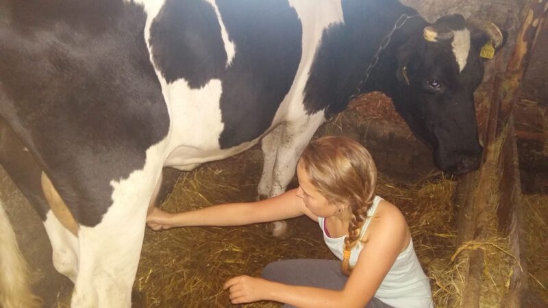 20160826 094541 scaled 1