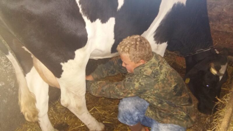 20160826 094655 scaled 1