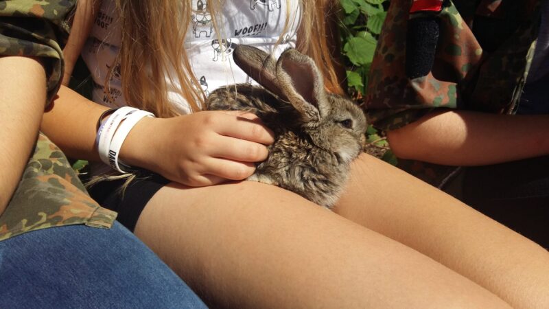 20160826 114704 scaled 1