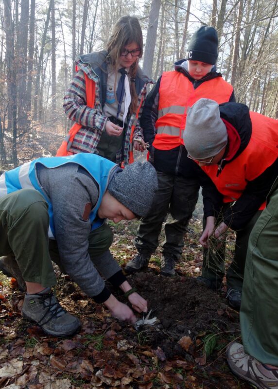 16992488 1913666608864373 474067776763425524 o