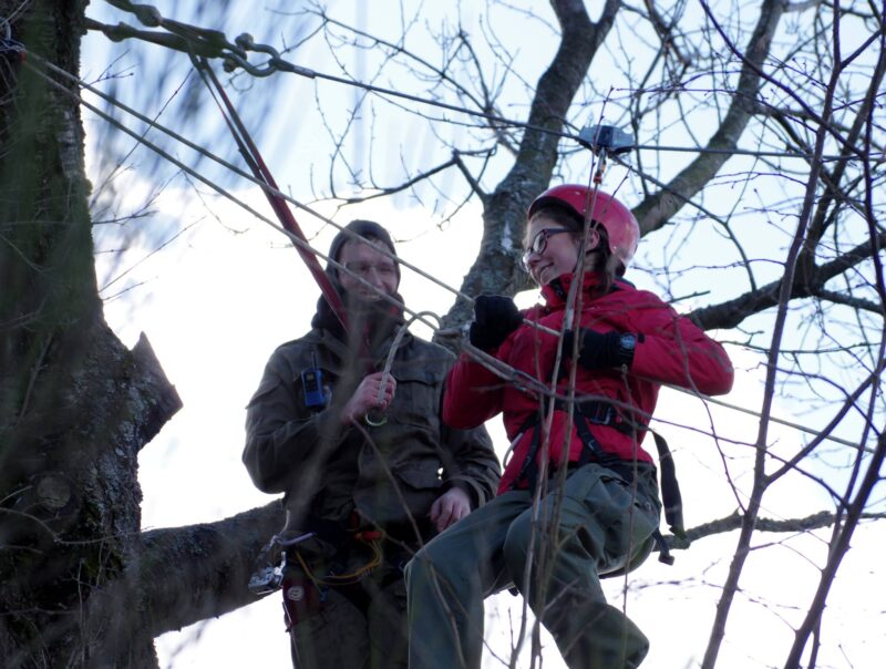 17016901 1913662142198153 654075676313397499 o