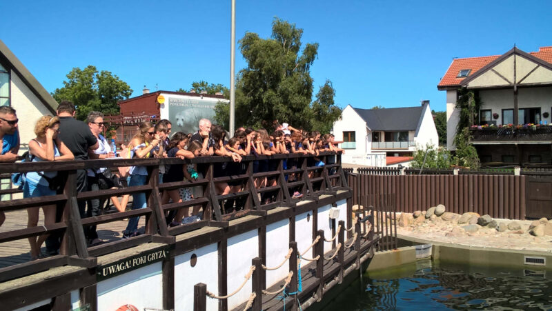 WP 20170730 13 38 28 Pro