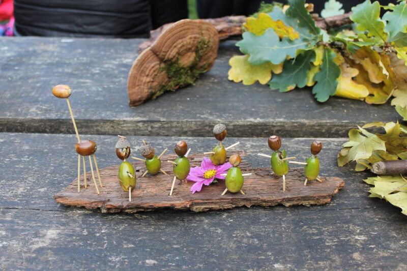 Podsumowanie Wyprawy po Bilet Wstępu do Lasu 9 IMG 3873