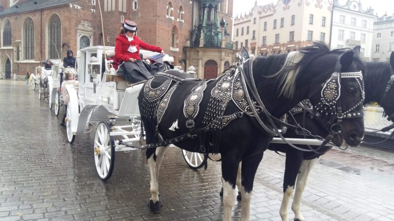 Wycieczka harcerzy z 11 HDCzB i 5 RWDH do Energylandi, Krakowa i Częstochowy 3 1