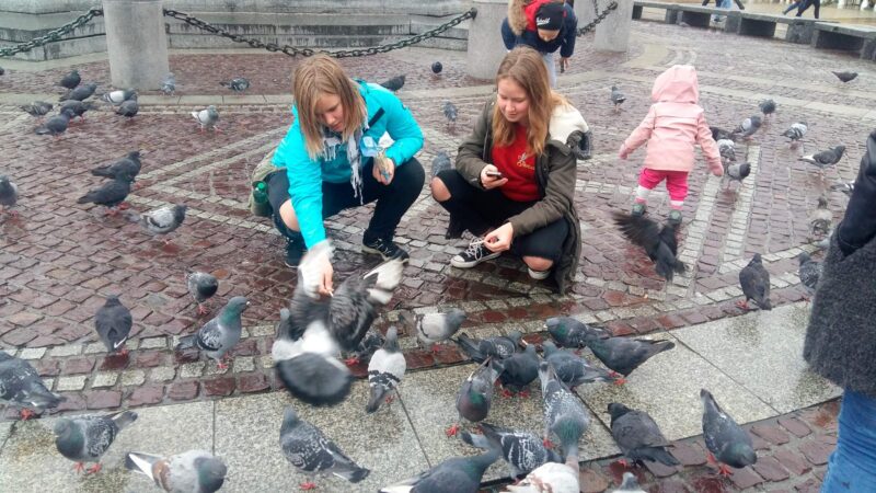 Wycieczka harcerzy z 11 HDCzB i 5 RWDH do Energylandi, Krakowa i Częstochowy 22 20171028 104338