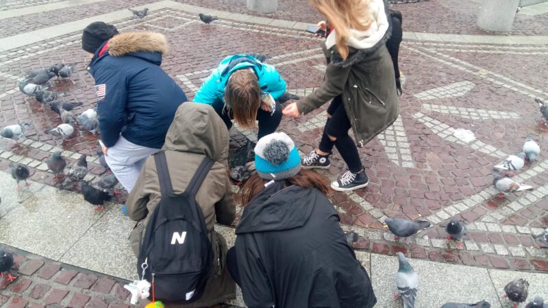 Wycieczka harcerzy z 11 HDCzB i 5 RWDH do Energylandi, Krakowa i Częstochowy 24 20171028 104503