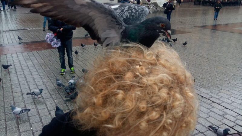 Wycieczka harcerzy z 11 HDCzB i 5 RWDH do Energylandi, Krakowa i Częstochowy 28 20171028 104951