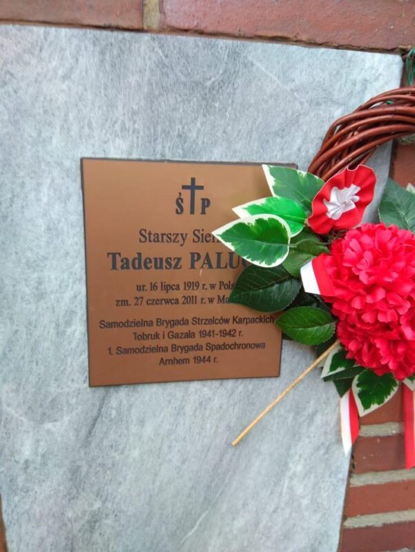 243858206 1195165344328979 5705950335691912408 n