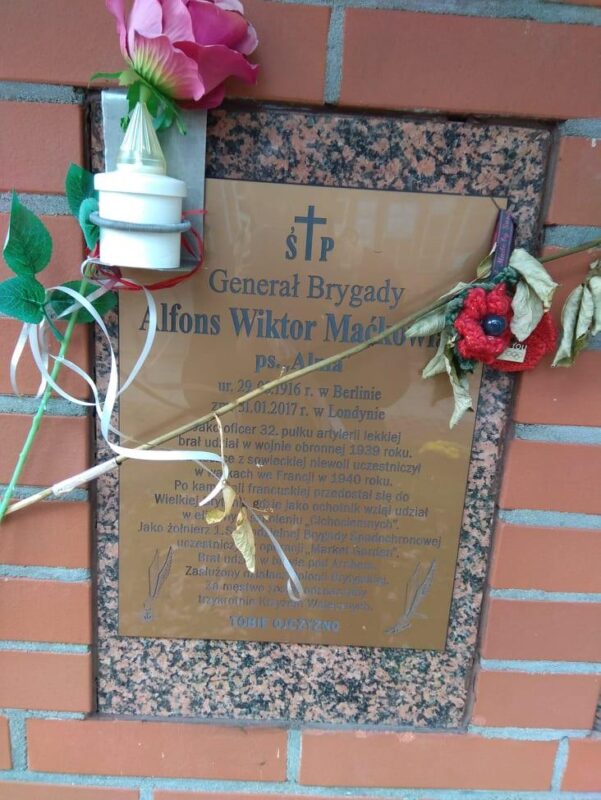 244068245 997204911056868 7118186604188369527 n