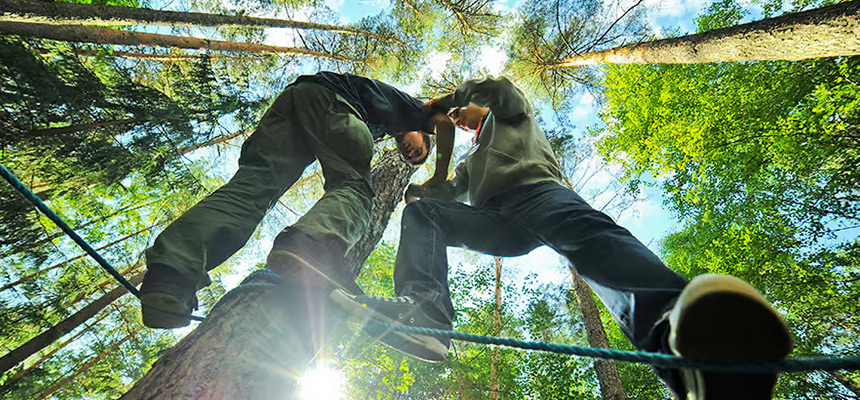 Bilet wstępu do lasu 2015