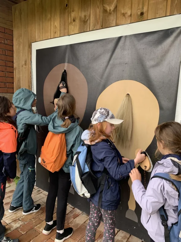 original 15617A00 8869 449F AAF7 BA6AEF7F357F