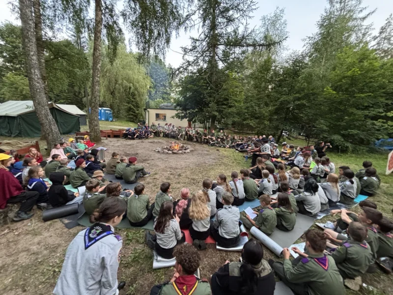 original 8E227C91 EE30 44FD 96DD BAF83972CC71