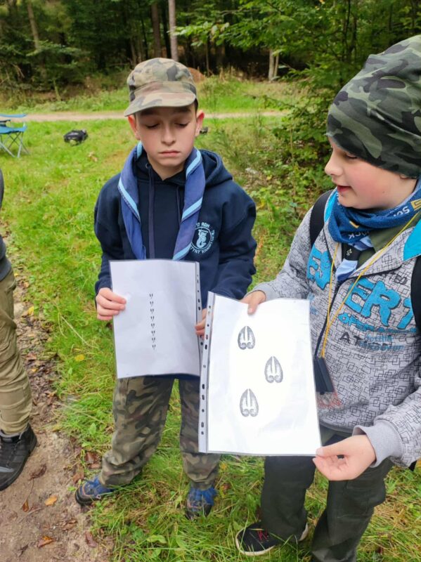 557739970 1246199414219053 356584572183160927 n