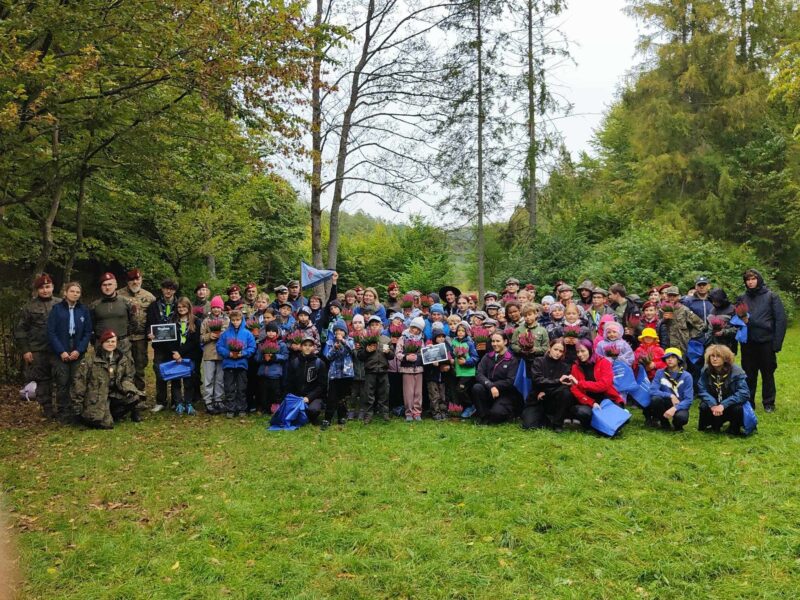 557796543 1246199457552382 8444476252889508511 n