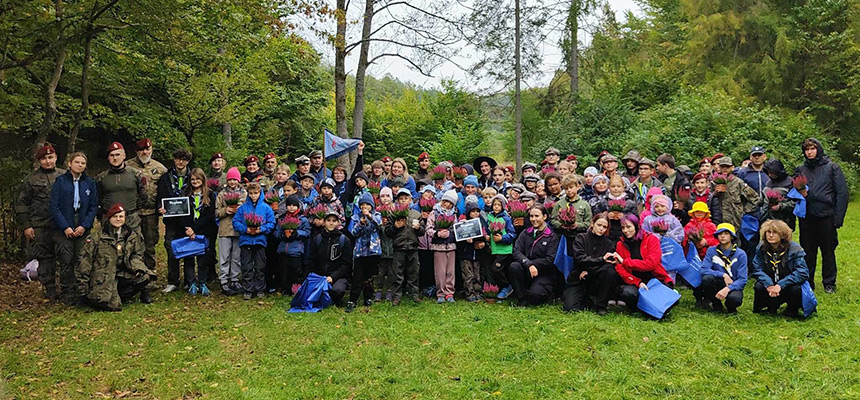 Bilet Wstępu Do Lasu