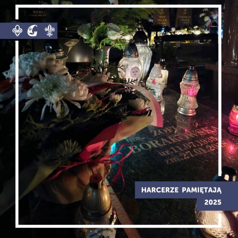 574564272 1154681050134377 3787817215894978270 n