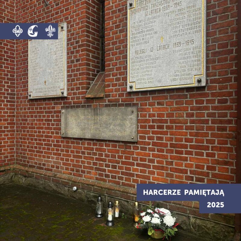 574964902 1154681500134332 6716019736606610680 n