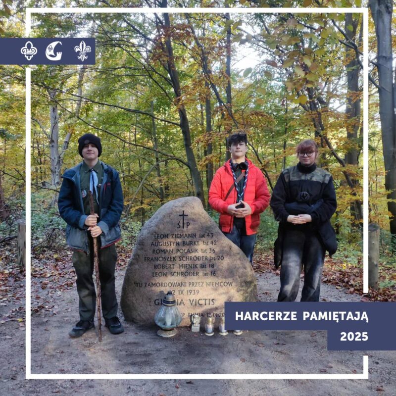 576083607 1154681100134372 1726800022413984432 n