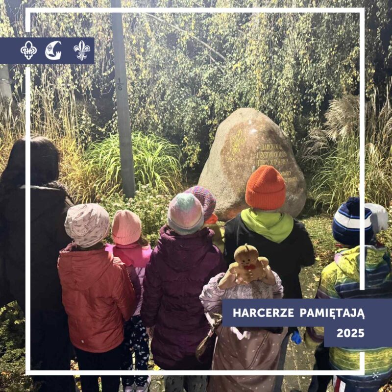 576858994 1154681440134338 4569278594505876570 n